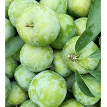 湖南怀化脱骨李5斤孕妇新鲜水果现摘红李整箱空心脆李子非油奈