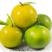 新鲜水果9斤当季沃柑整箱中大果蜜桔砂糖橘子